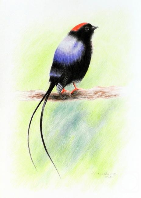 �������. �������� ��������. �������