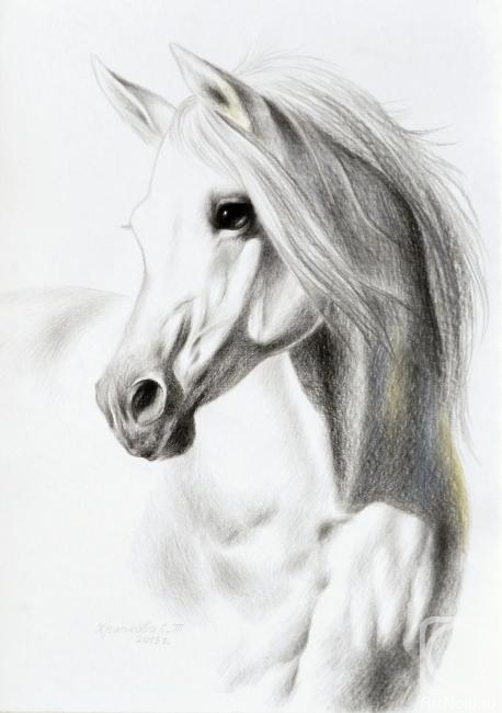 �������. �������� ��������. ������