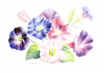 ������. �������� ��������