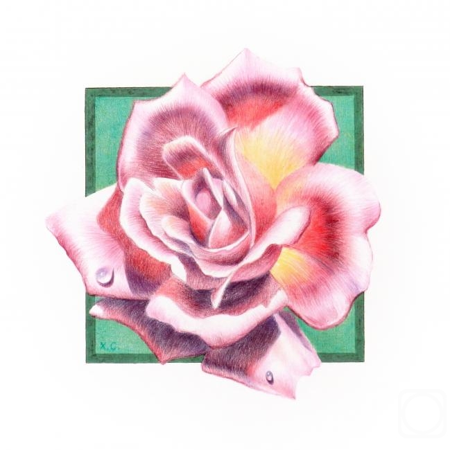 �������. �������� ��������. ����