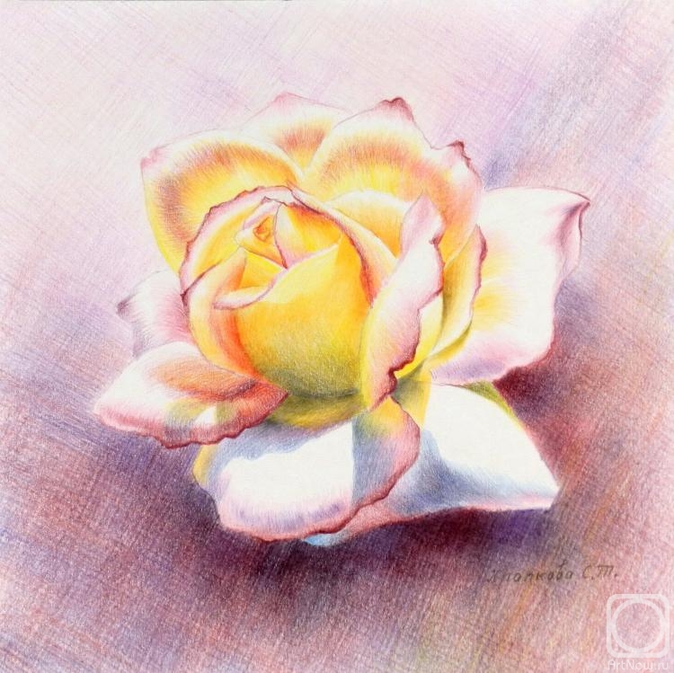 �������. �������� ��������. ����