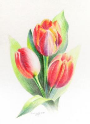 Tulips