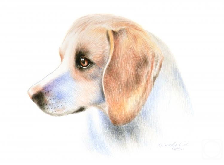 �������. �������� ��������. �����