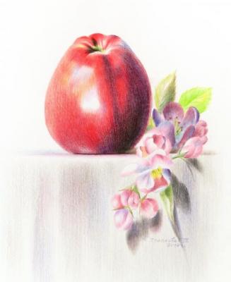 Apple with flowering branch