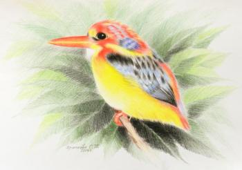 Forest kingfisher. Khrapkova Svetlana