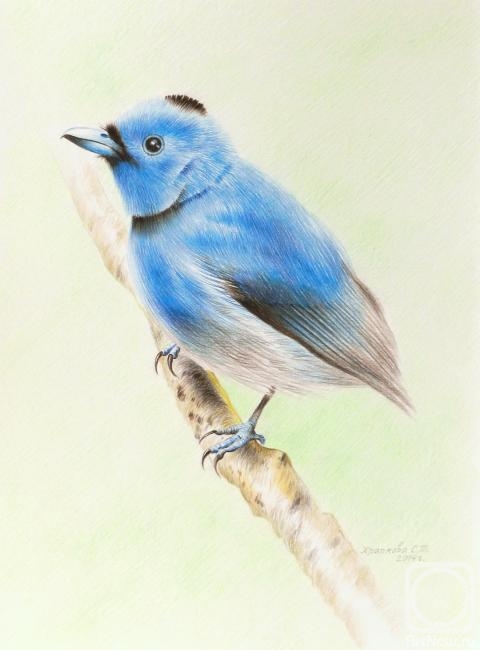 �������. �������� ��������. ������