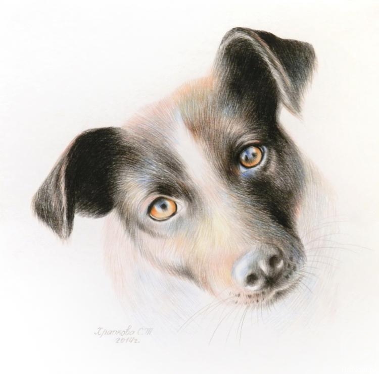 �������. �������� ��������. ����� �������