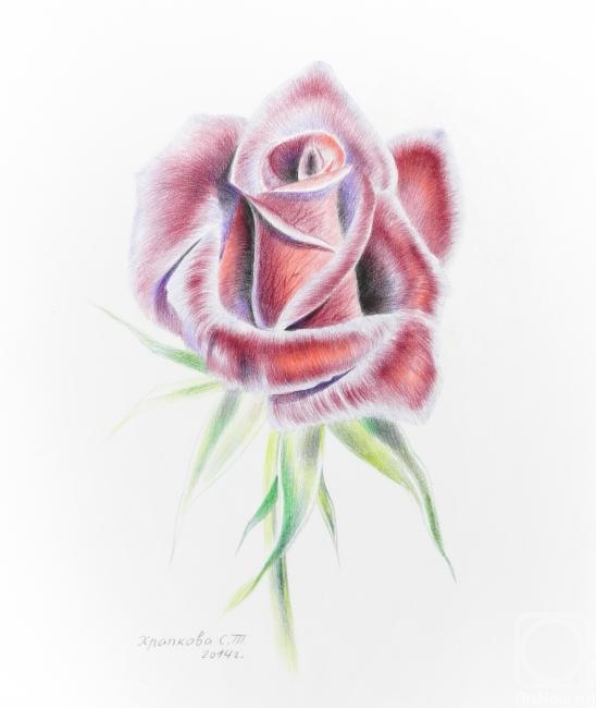 �������. �������� ��������. ����