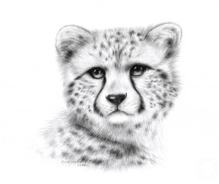 Khrapkova Svetlana. Cheetah