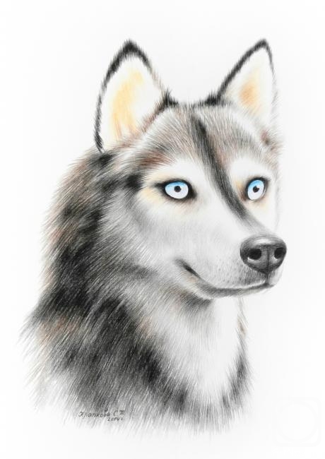 �������. �������� ��������. �����