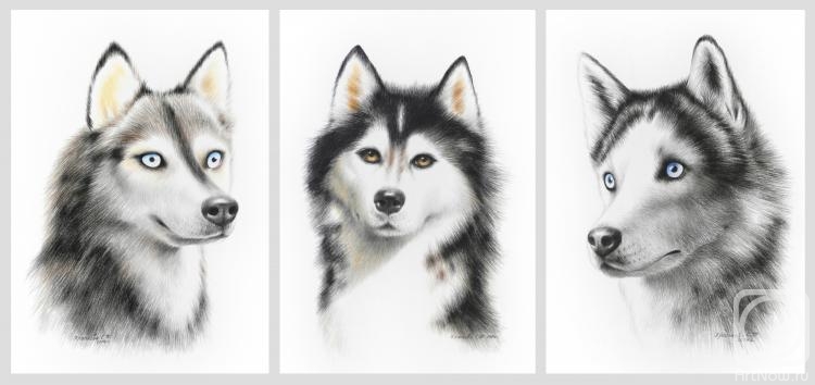 �������. �������� ��������. �����. �������