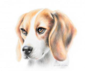 �����. �������� ��������