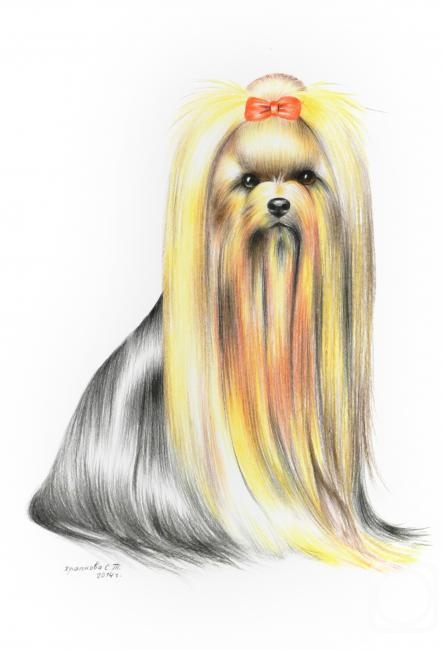 �������. �������� ��������. ����������� ������