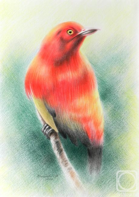 �������. �������� ��������. ��������� ��������