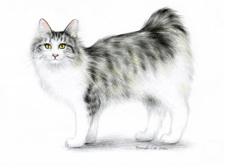 �������. �������� ��������. �������