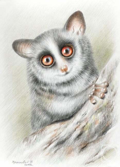 �������. �������� ��������. ������