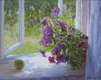 Petunias . In the country. Seng Anatoliy