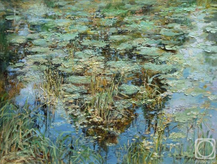 Podgaevskaya Marina. Pond, overgrown with grass