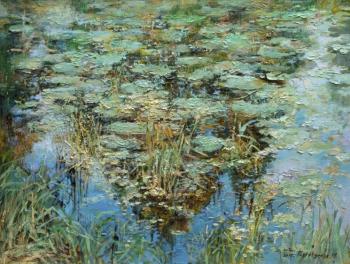 Pond, overgrown with grass. Podgaevskaya Marina