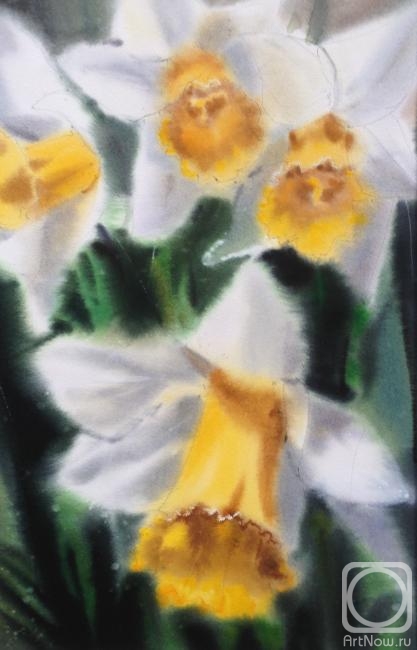 Gomzina Galina. The daffodils
