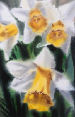 The daffodils. Gomzina Galina