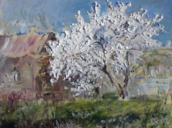 The old house has a blossoming plum. Sechko Xenia