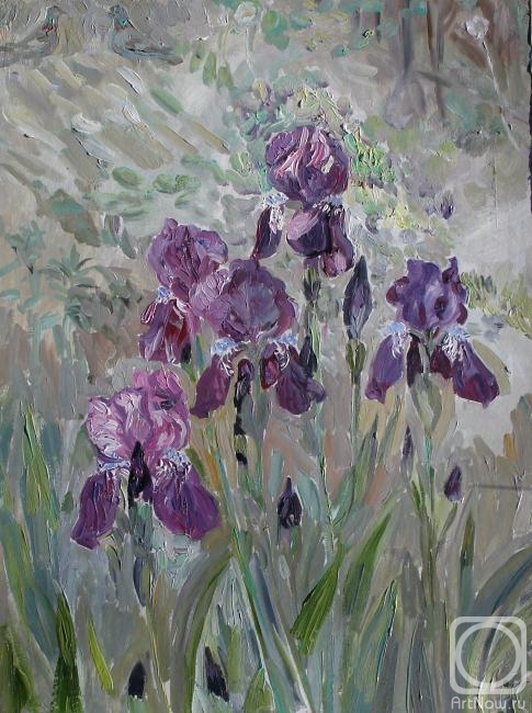 Sechko Xenia. Purple irises in the courtyard