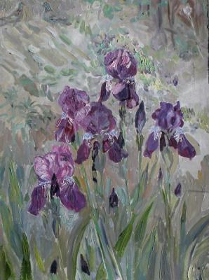 Purple irises in the courtyard