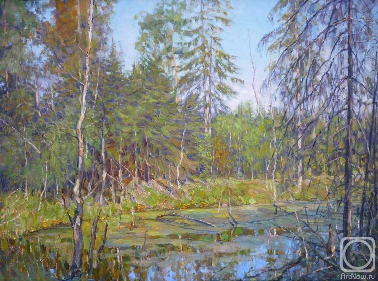 Petrenko Boris. Swamp in the forest