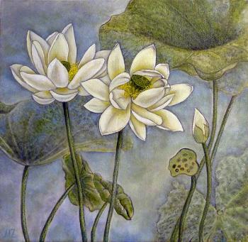 Lotuses (White Lotus Flowers). Zozoulia Maria