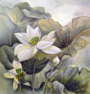 Lotuses (White And Green). Zozoulia Maria