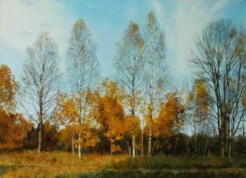 Autumn in the park. Gatchina. Egorov Viktor