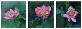Lotuses (Pink Lotus). Zozoulia Maria