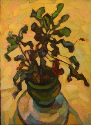 ������� �������. �������� ������