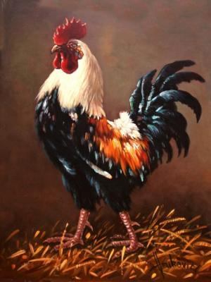 Rooster - the master of the yard. Vukovic Dusan