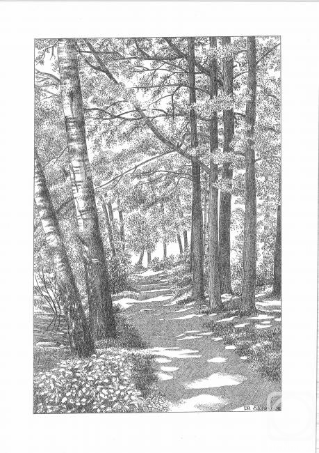 �������. �������� �����. ������ �����