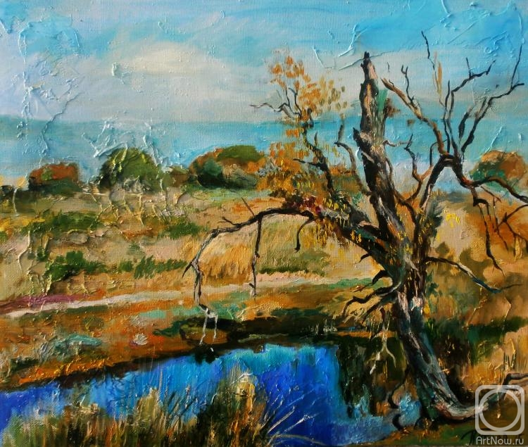 ������� ������ �� ������. ������ �������. ������ �� ������ ����