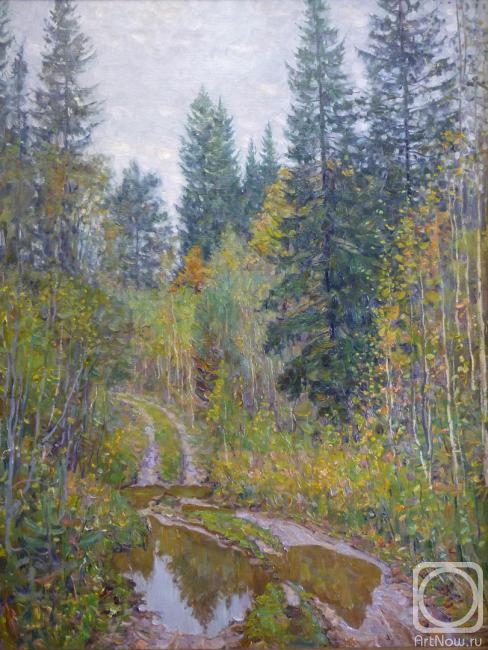 Petrenko Boris. Forest road