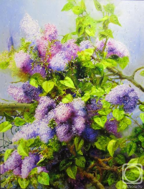 Fedorova Irina. Lilac bush