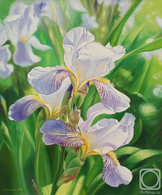 Zhaldak Edward. Irises