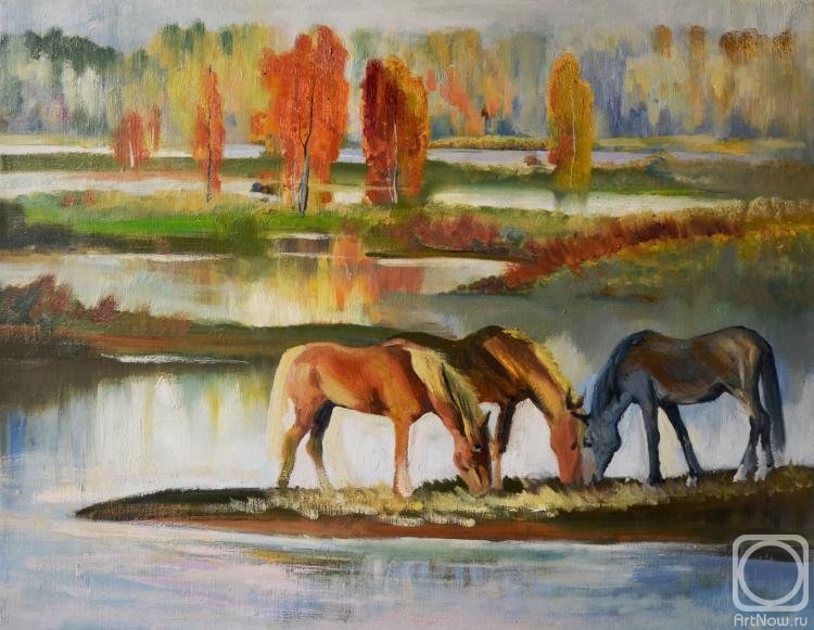 ������� ������ �� ������. ���������� ������. ������