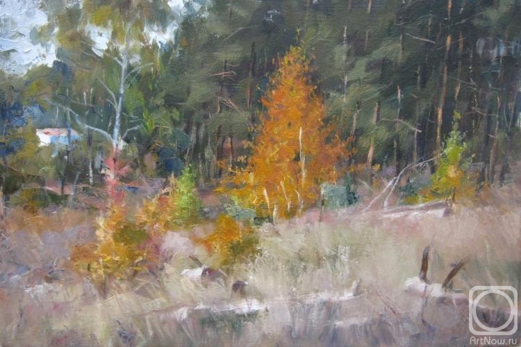 ������� ������ �� ������. ������� ��������. �������. �������