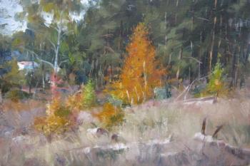 October. Birches. Voronov Vladimir