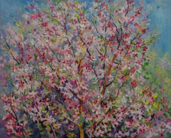 Apple trees are blooming. Takhtamyshev Sergey
