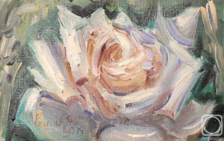 ������� ������ �� ������. ���������� �����. �����