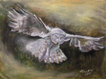 Flying owl. Rakhmatulin Roman