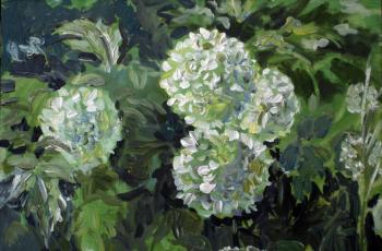 ������� ������� ���������