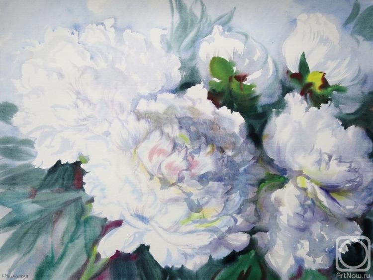 �������. ���������� ���������. ����� � �������� �����