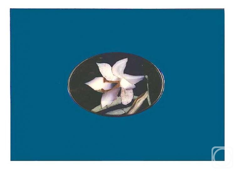 ���������� �������. �����