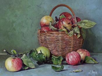 Apples in basket. Volya Alexander